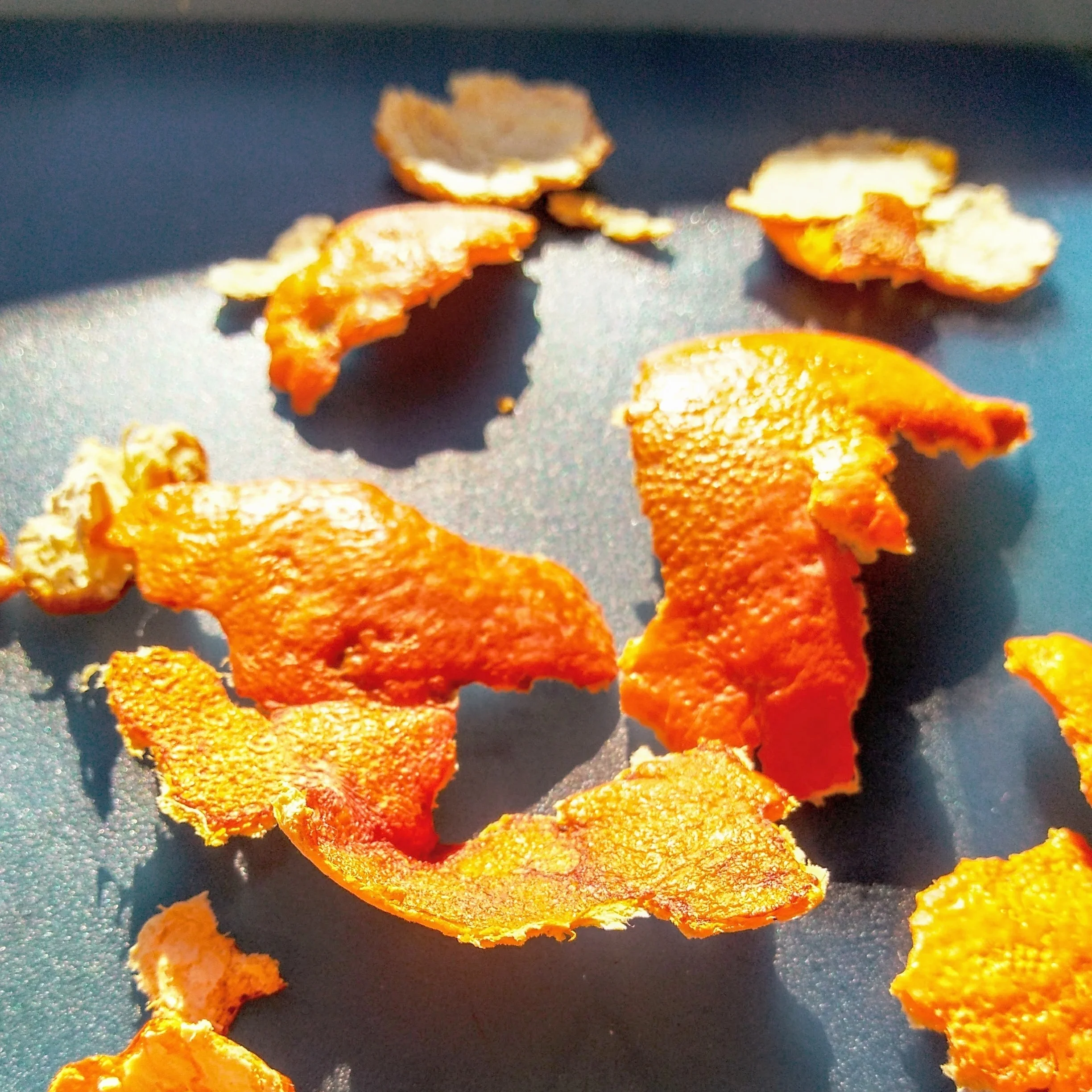 Cáscaras de mandarina secándose al sol