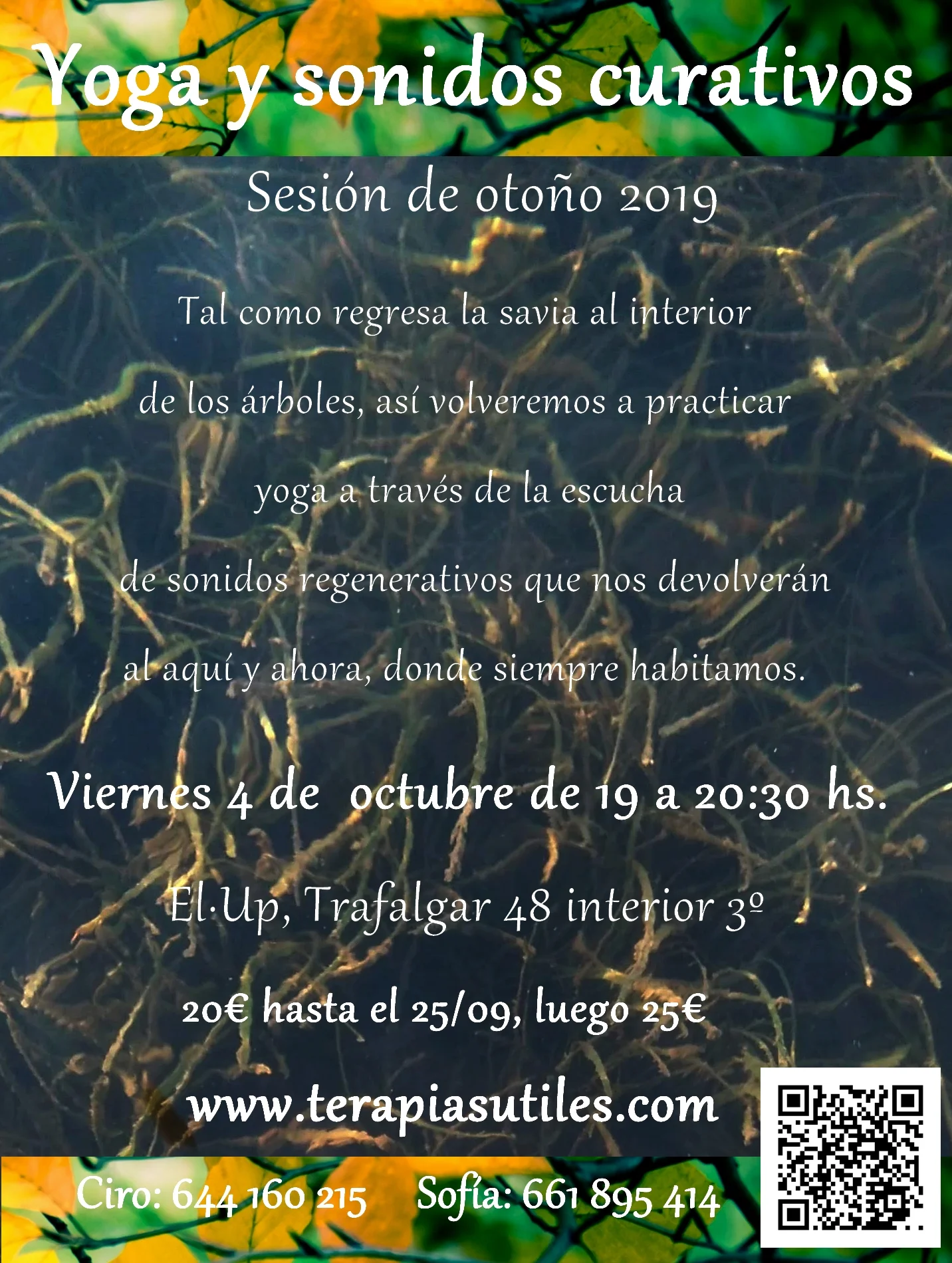yoga otoño 2019.jpg