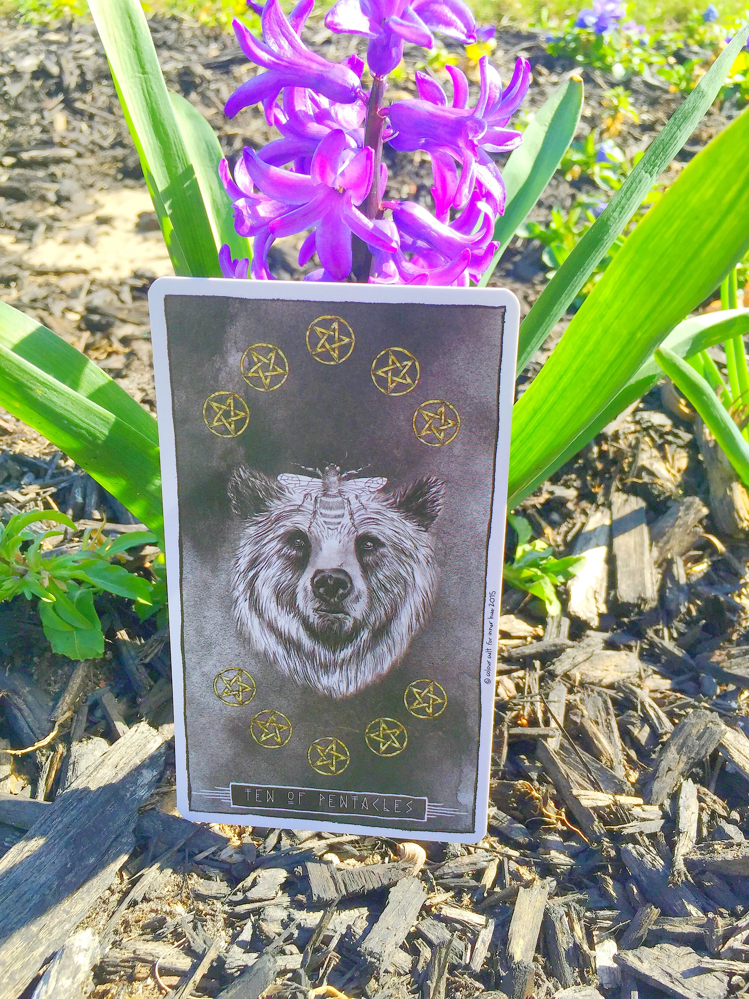 10-of-pentacles-lumina.jpg