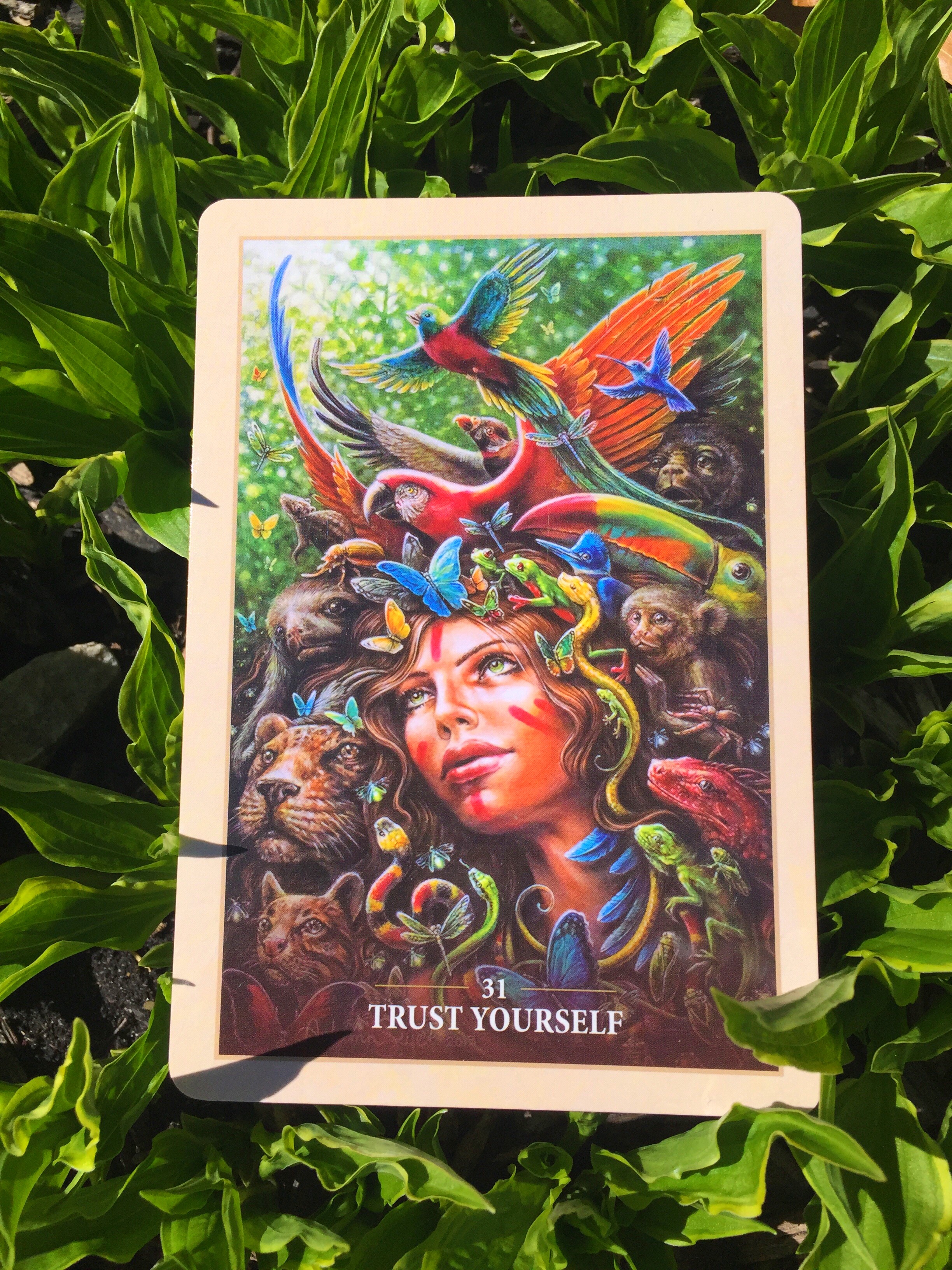 trust-yourself-sacred-rebels-oracle.jpg