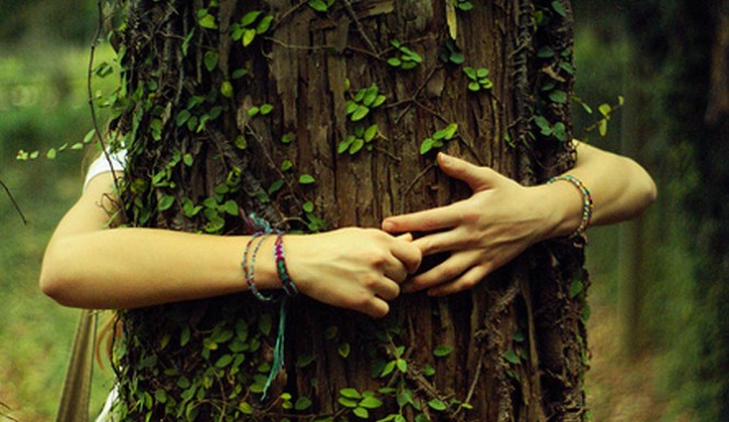 hippie-tree-hugger-header-665x385.jpg