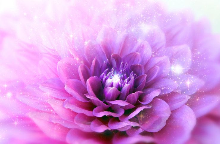 purple-crown-chakra-flower.jpg
