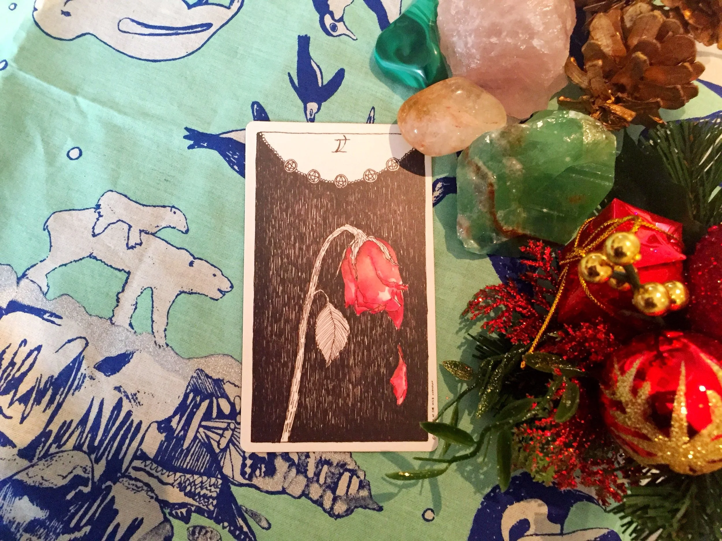capricorn-winter-2016.jpg
