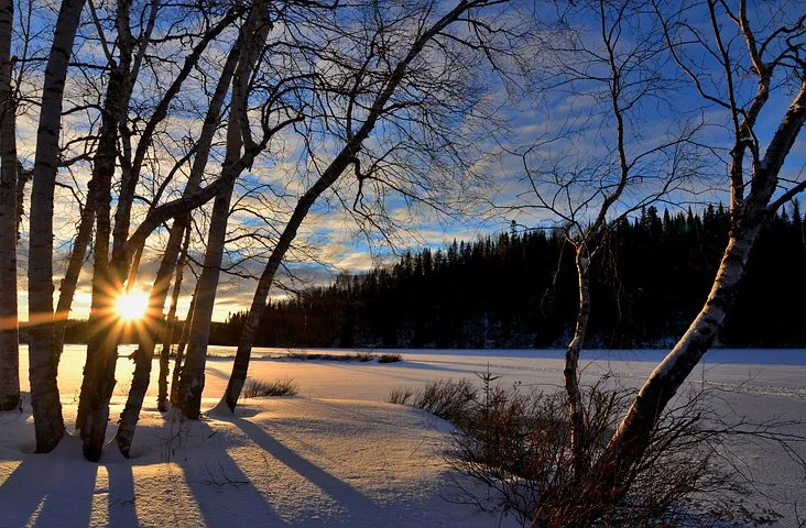winter-landscape-2192519__480.jpg