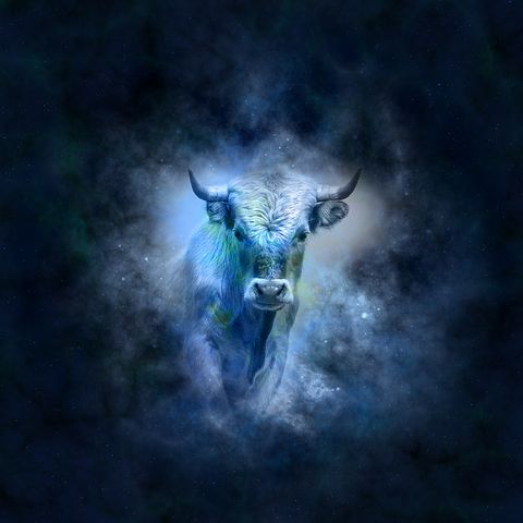 Taurus horoscope-639127__480.jpg
