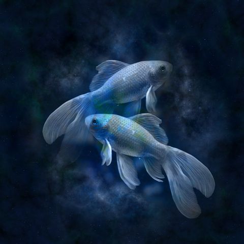 Pisces horoscope-639125__480.jpg
