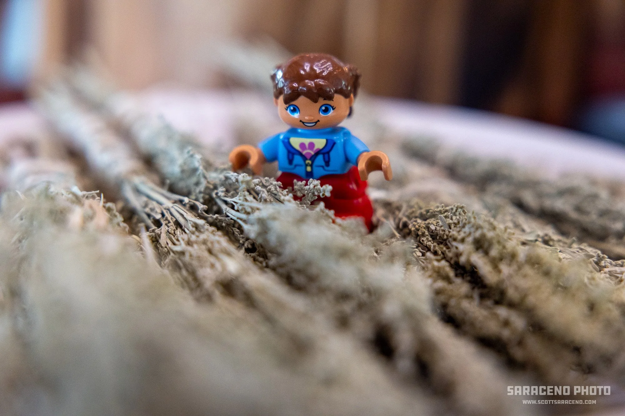 lego_2_marked.jpg
