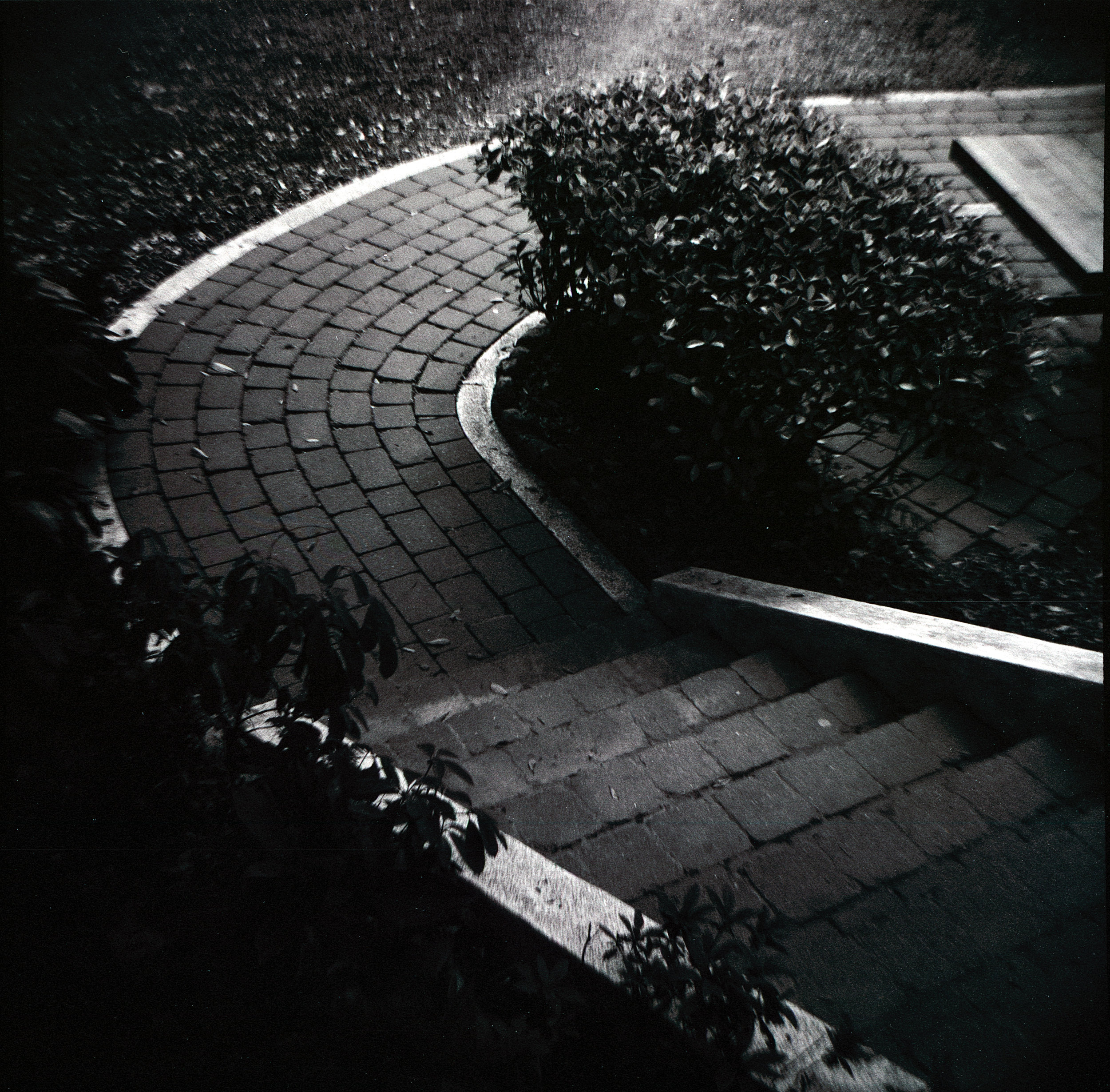 The leading lines here from the edge of the path/stair caught my eye and I figured they'd work really well with the HP5+ I had loaded in the Diana and the sketchy optical performance of the camera. When I got the film back I was pretty pleased with how it all turned out, messy but in a good way.