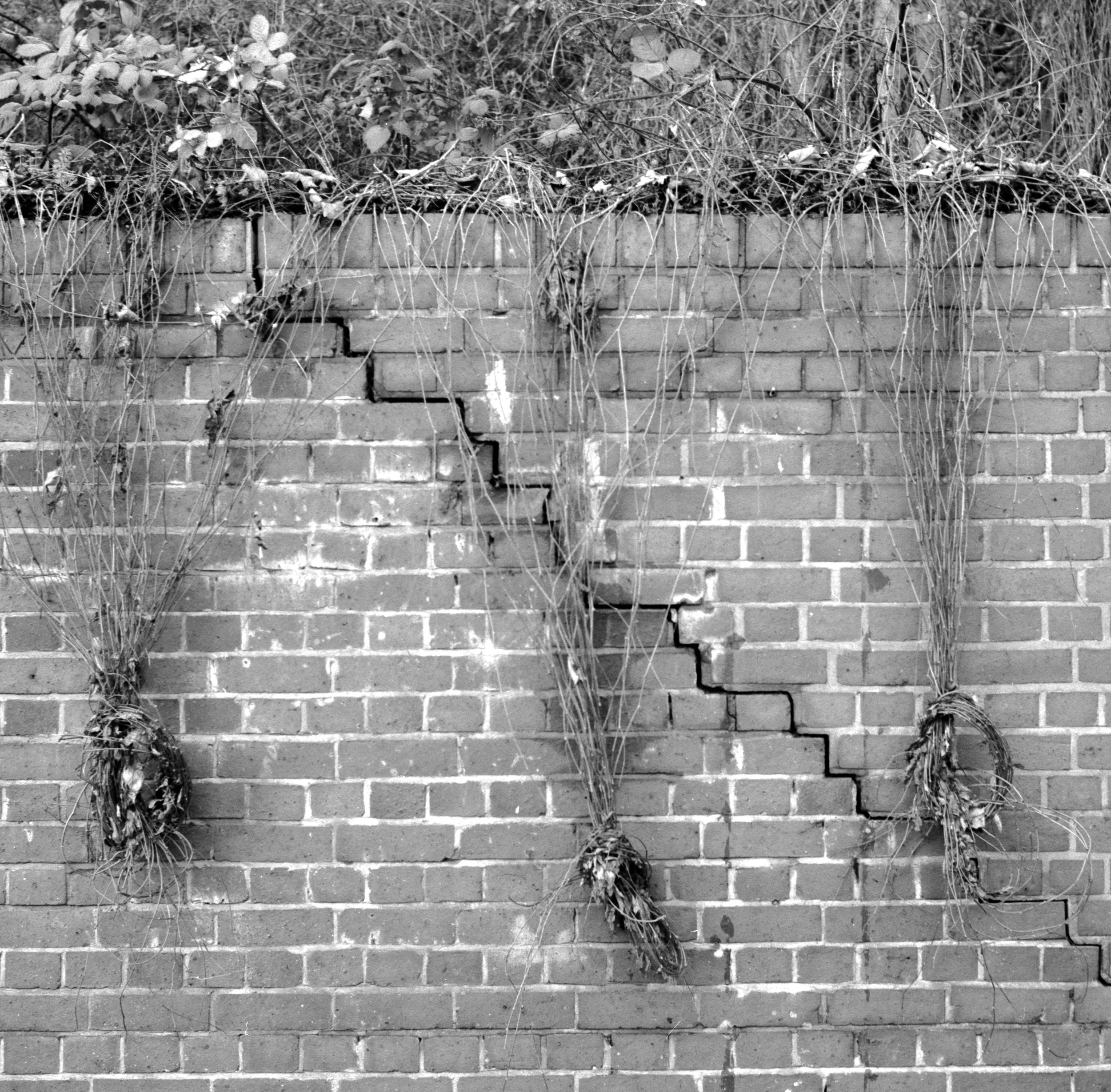 Cracked Photographs cracked-photographs