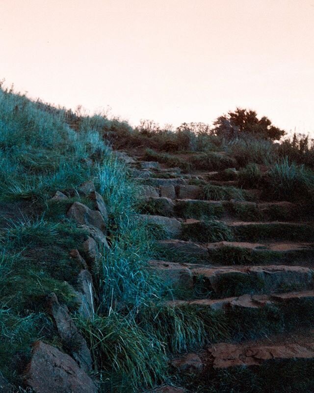 Sometimes the novelty Lomography films give almost natural colours, but never quite - always off enough to be alien and otherworldly. Even if it's just by your home.⁠⠀
⁠⠀
#filmstagram #filmphotography #filmisnotdead #staybrokeshootfilm #analogcapture