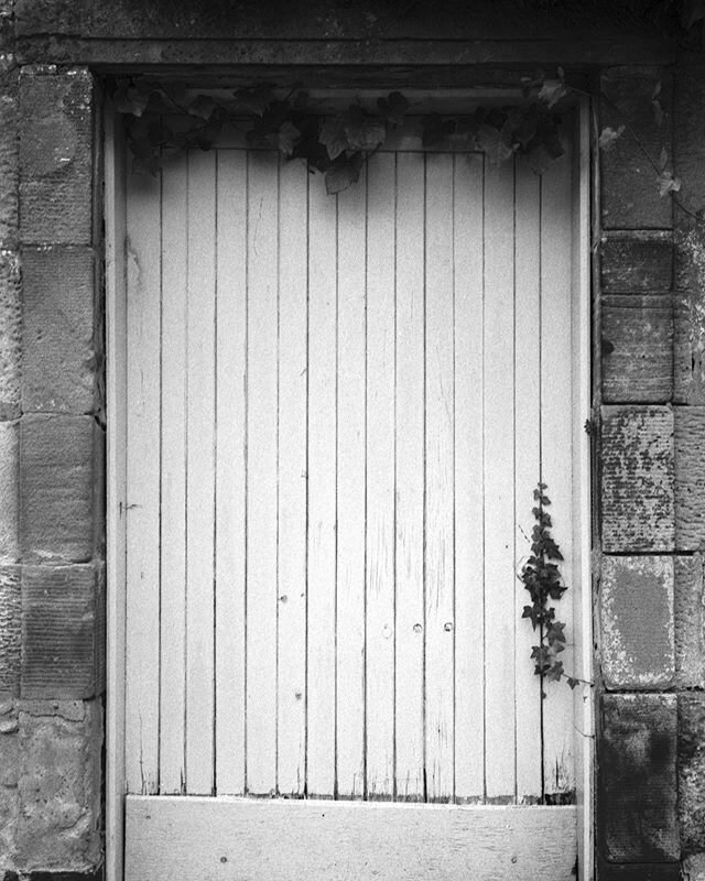 Something tells me this door doesn't get a lot of use.⁠⠀
⁠⠀
#filmisnotdead #staybrokeshootfilm #filmphotography #filmstagram #activecapture #filmwave #archillect #fp4 #ilfordfp4 #ilford #ilfordfilm