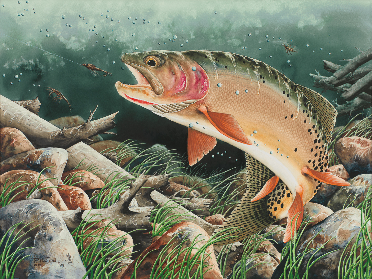 ptTrout_1_3F.jpg