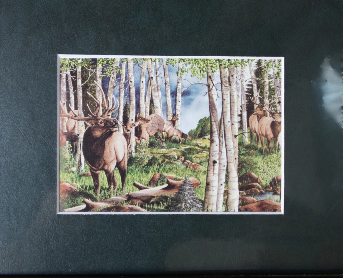 MATTED LITHOGRAPH #MCF05