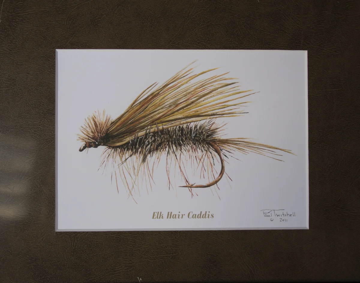 MATTED LITHOGRAPH #MCFL13