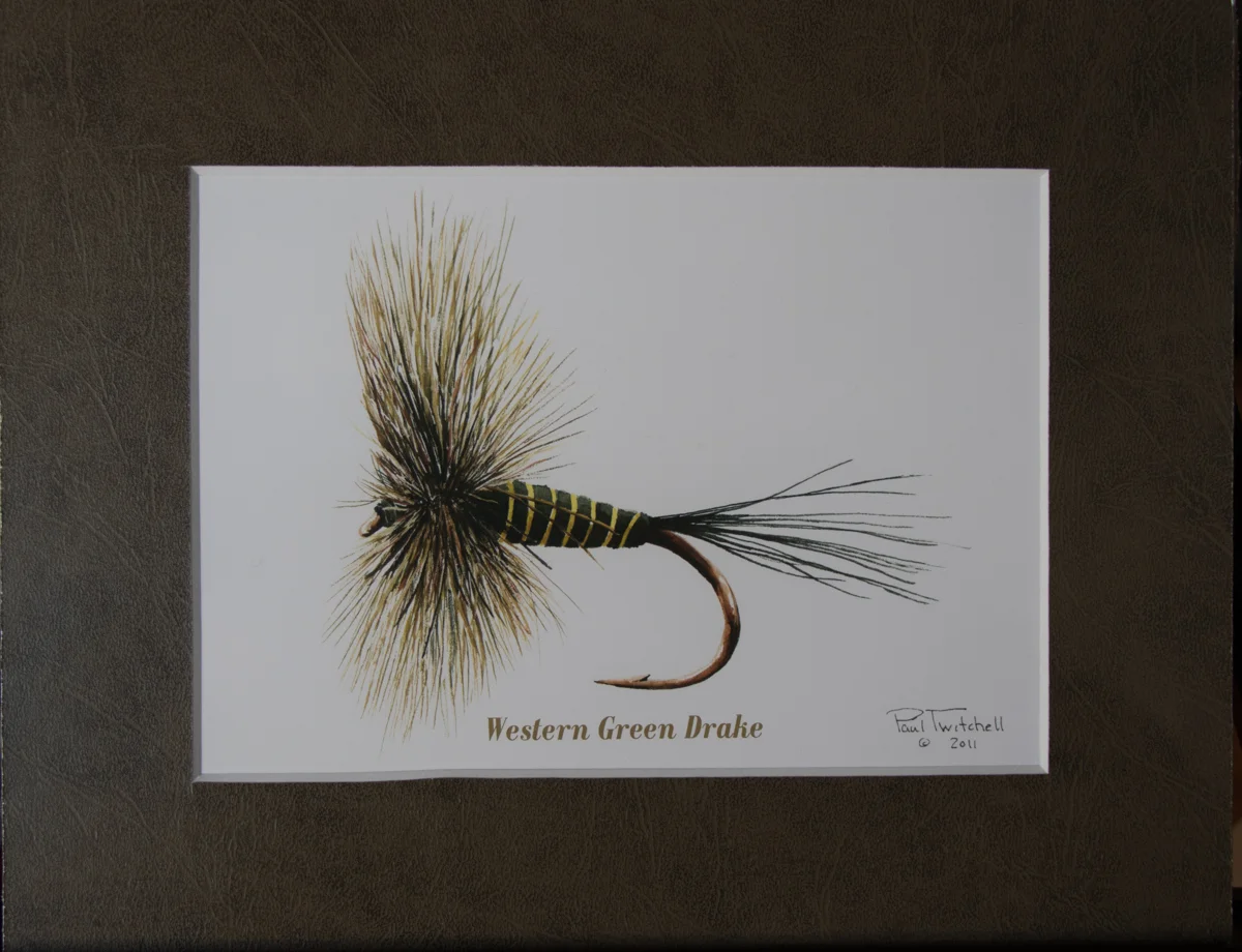 MATTED LITHOGRAPH #MCFL21