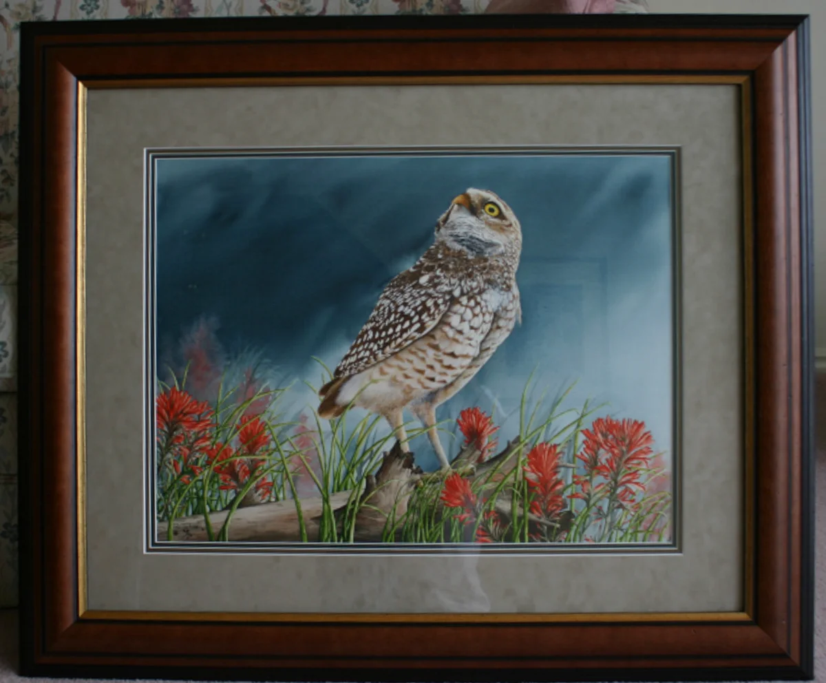 MATT SAMPLE   CHAPPS COLOR