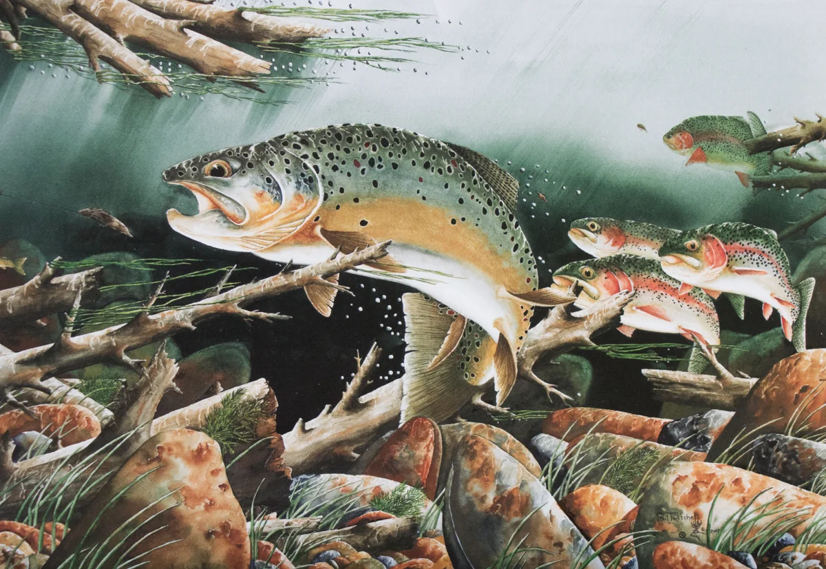 SPECIAL ORDER 5 X 7 LITHOGRAPHS #SP02