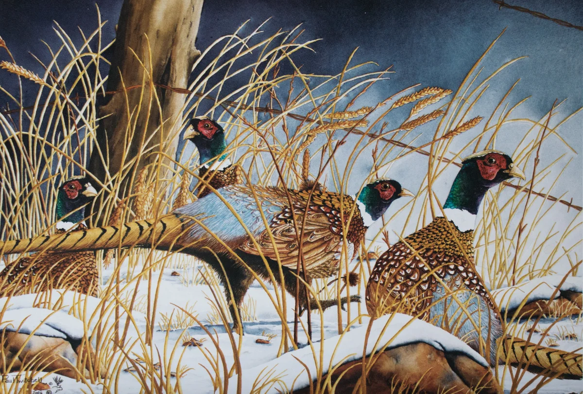 SPECIAL ORDER 5 X 7 LITHOGRAPHS #SP05