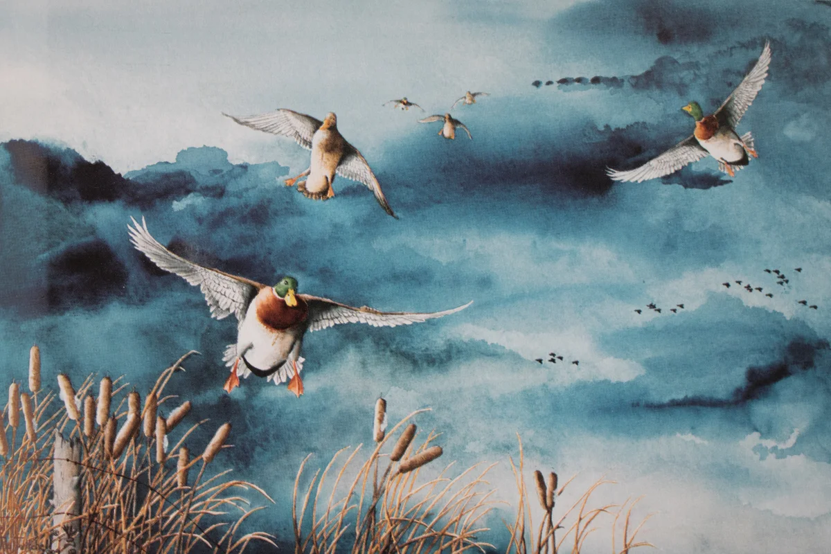 SPECIAL ORDER 5 X 7 LITHOGRAPHS #SP06