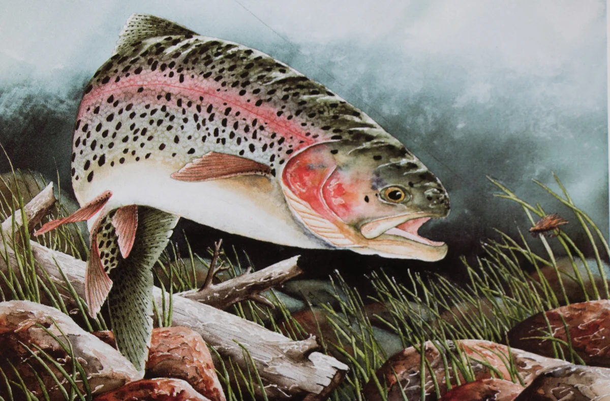 SPECIAL ORDER 5 X 7 LITHOGRAPHS #SP07