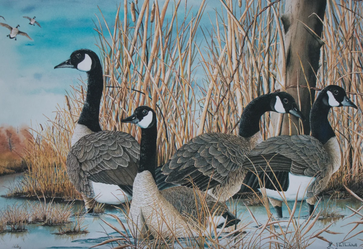 SPECIAL ORDER 5 X 7 LITHOGRAPHS #SP09