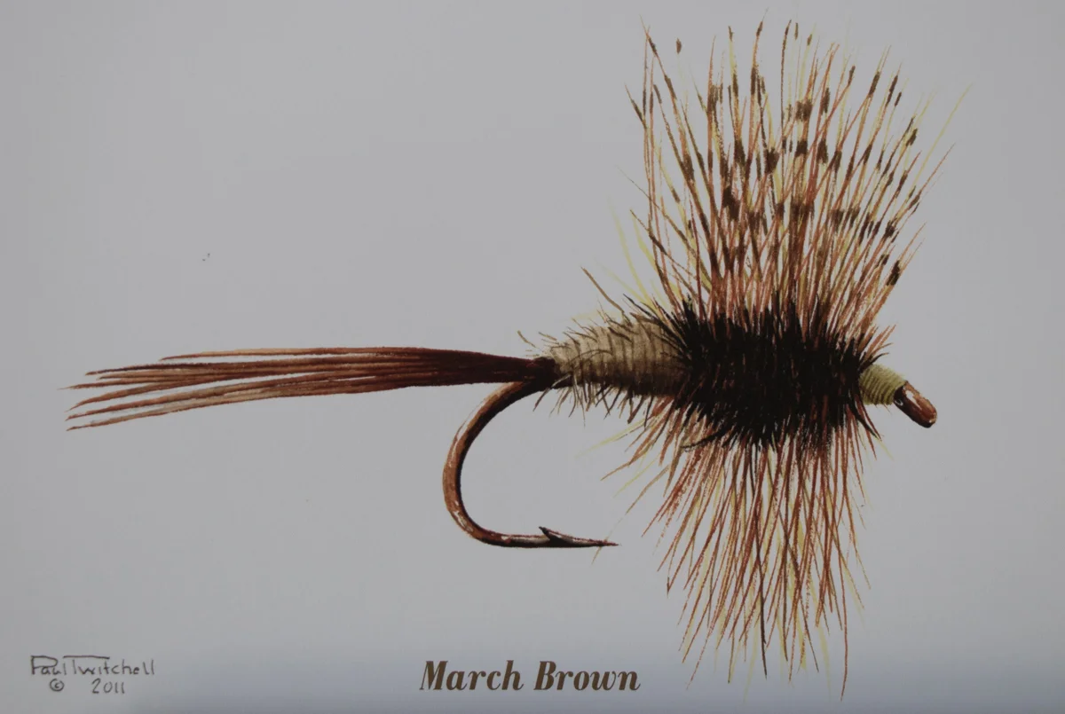 SPECIAL ORDER 5 X 7 LITHOGRAPHS #SP10