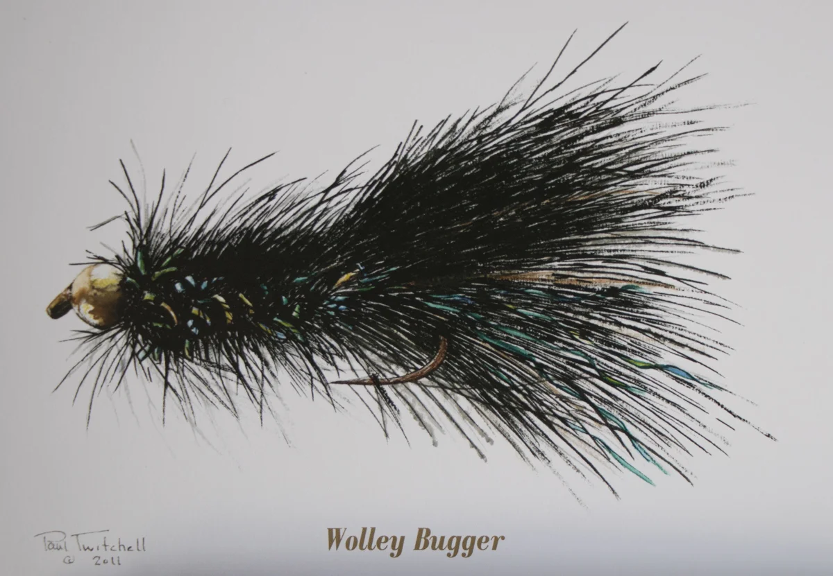 SPECIAL ORDER 5 X 7 LITHOGRAPHS #SP11