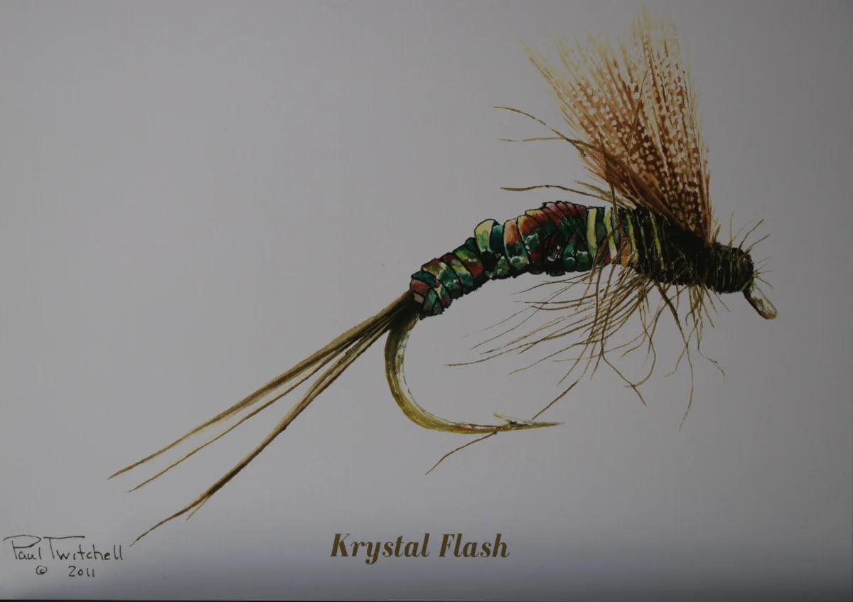 SPECIAL ORDER 5 X 7 LITHOGRAPHS #SP12