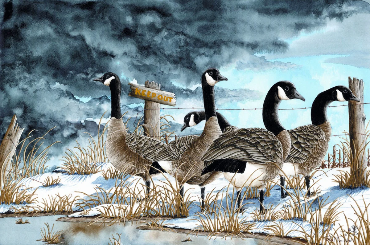 GO AHEAD WE'LL KEEP AN EYE OUT