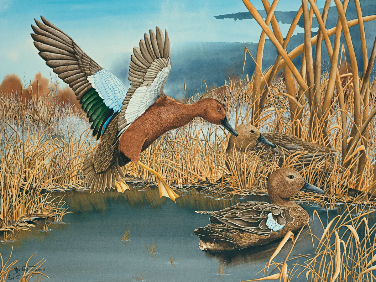 MARSH CREEK CINNAMONS