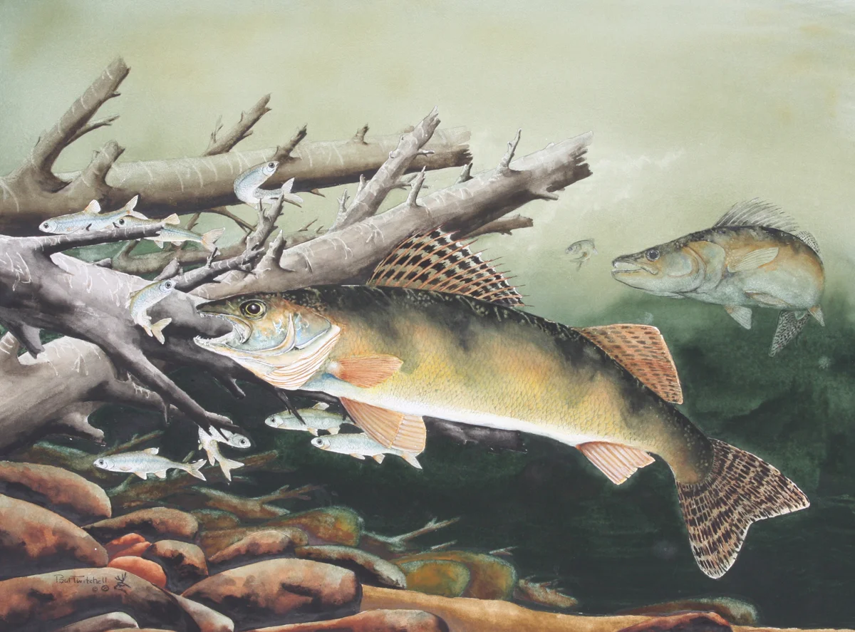 DINNER BELL ON THE BIG HORN