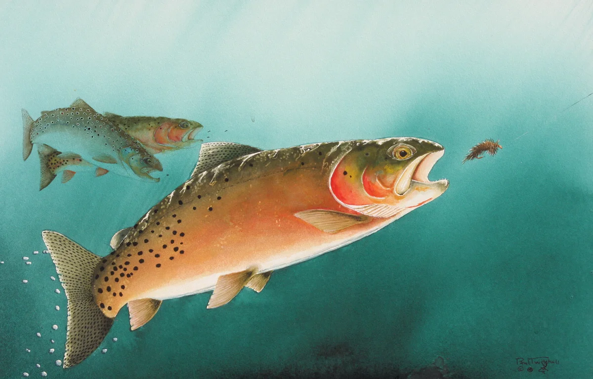 MIXED BAG ON THE BLACKS FORK