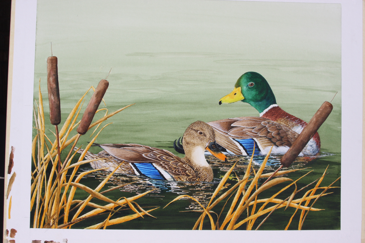 HAMMS FORK MALLARDS1.jpg