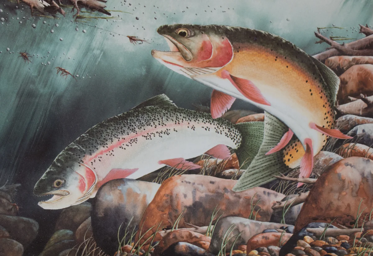 BREAKFAST ON BASIN CREEK