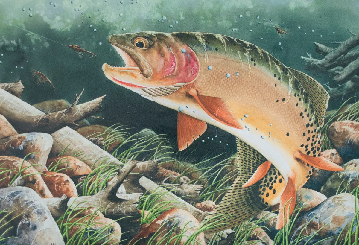 DEADWOOD CREEK DELIGHT