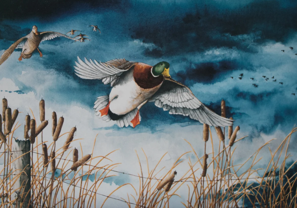 JUST OVER THE WIRE AT FARMINGTON BAY