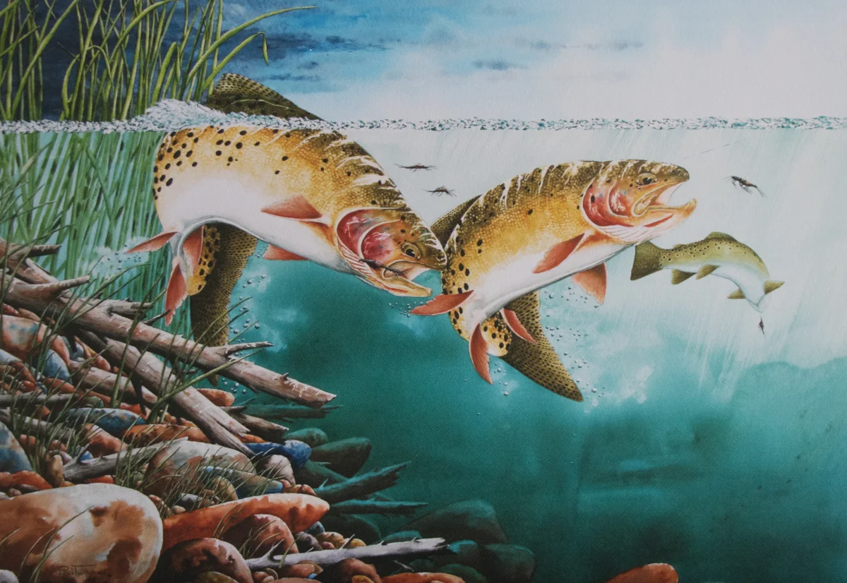 DINING OUT ON RANGE CREEK