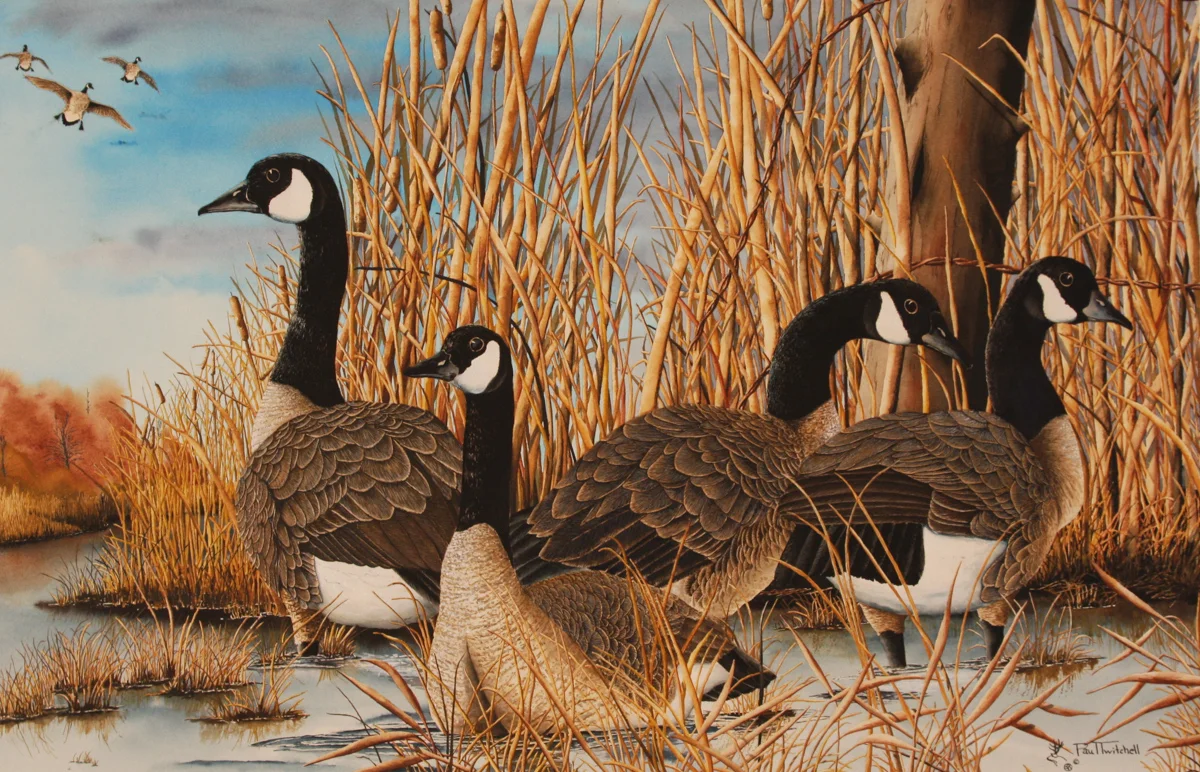 BURNT FORK FINAL APPROACH