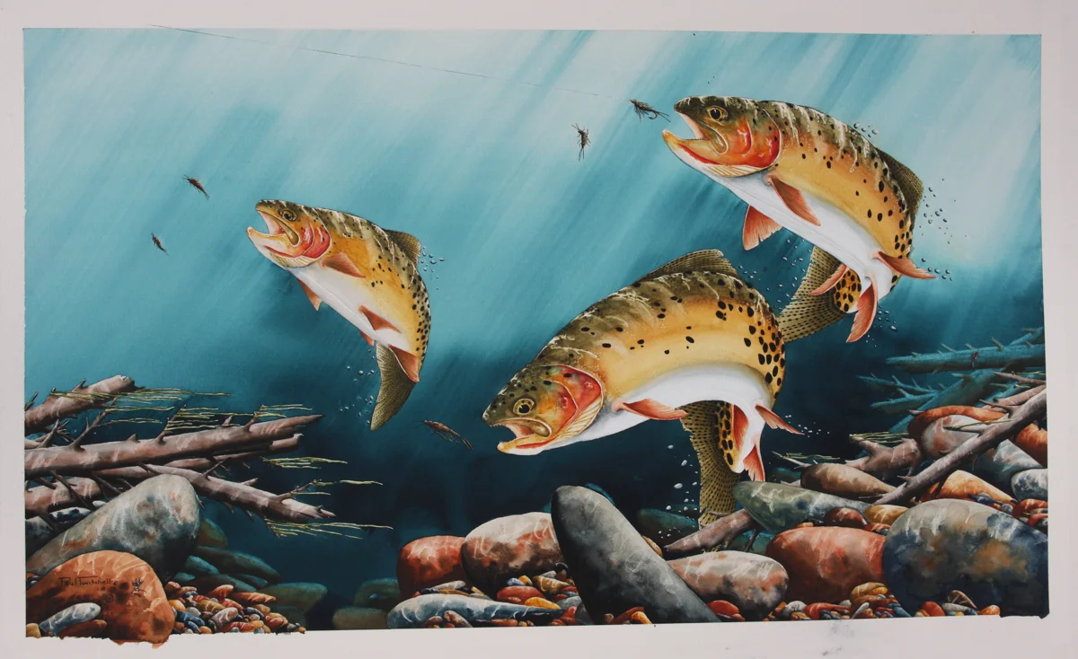 FEEDING FRENZY ON THE BEAVERHEAD