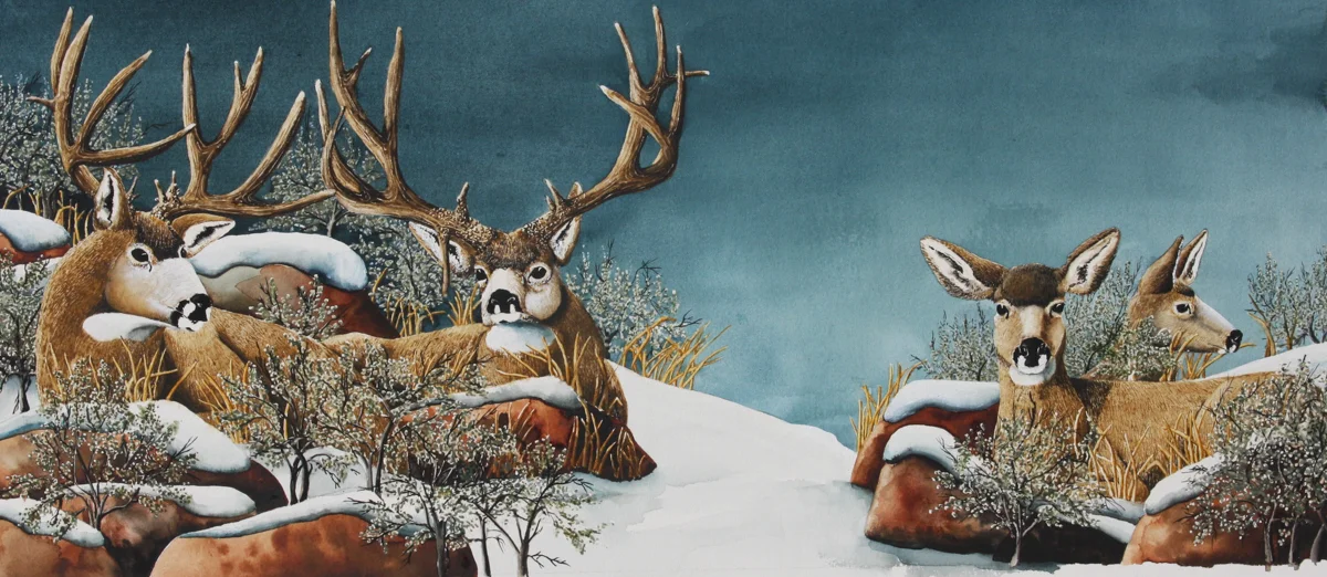 BITTER CUP BASIN MULEYS