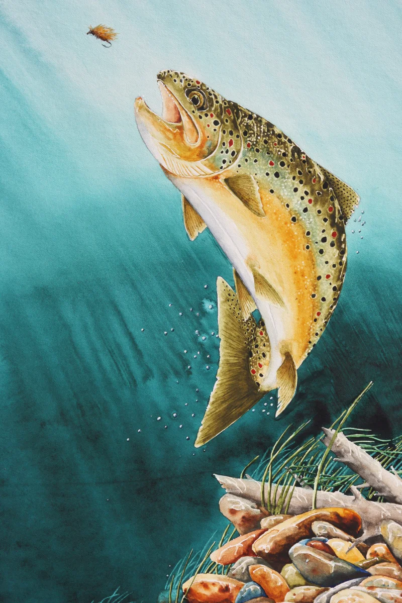 ANY SECOND ON CURRENT CREEK