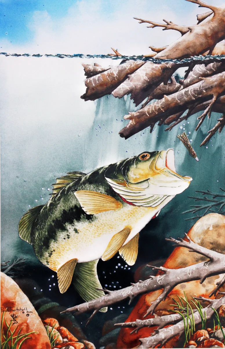 sand hollow large mouth.jpg