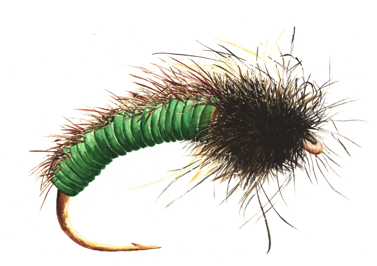 SHAGGY WIRE CADDIS NYMPH