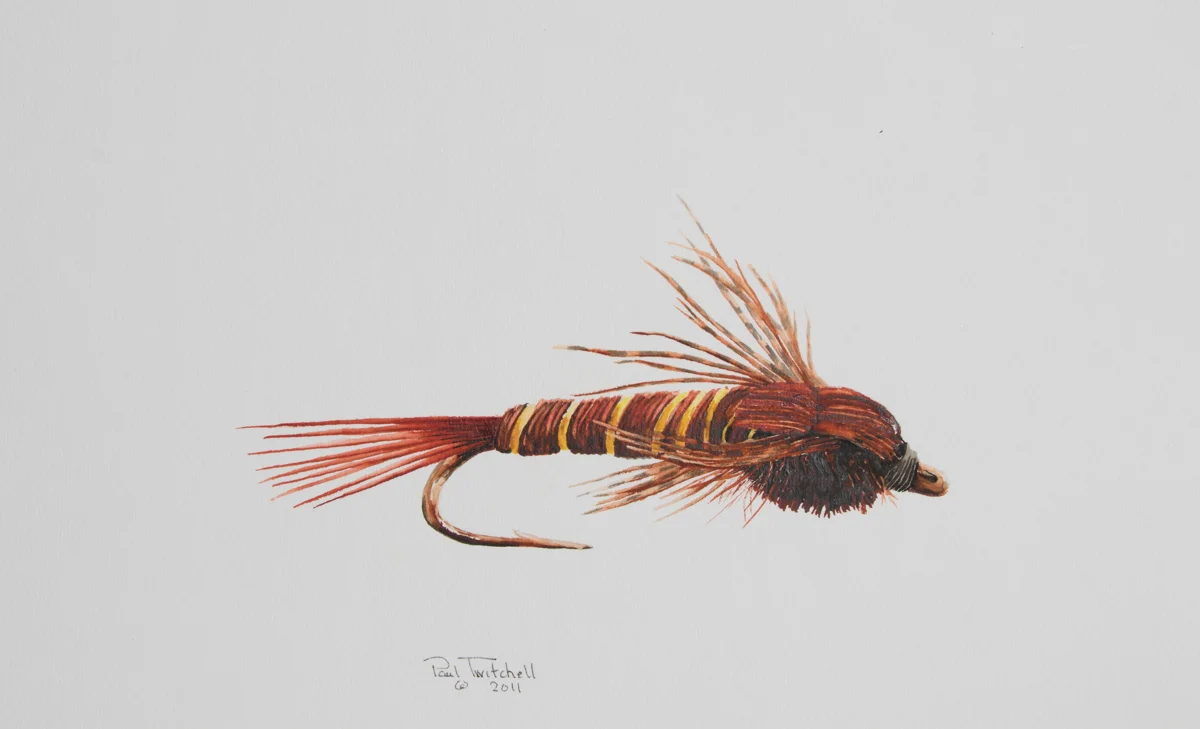 PHEASANT TAIL