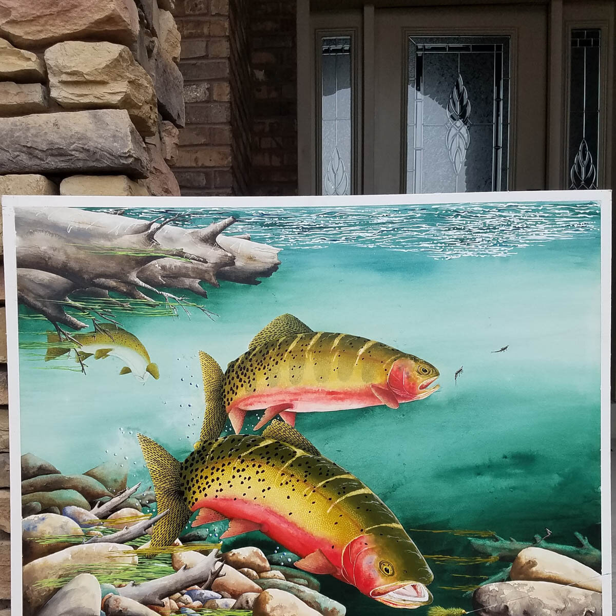 WAIT..WAIT..SET!! (1 of 1).jpg