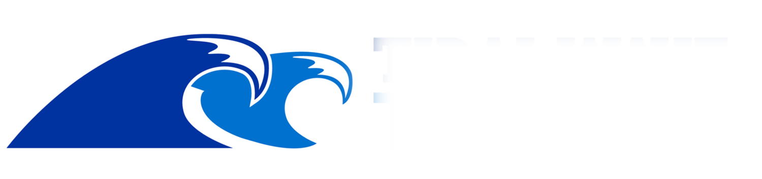 Tidal Wave Telecom