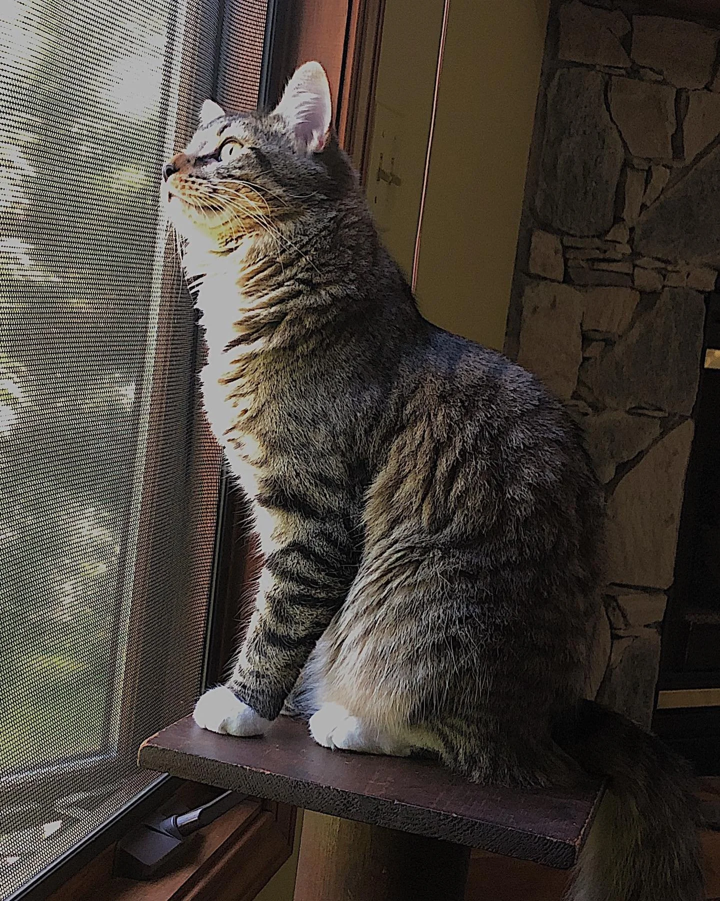 Ohhh&hellip;those birds!