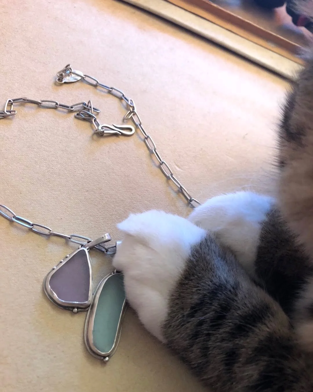 Life is easier with a feline photo assistant