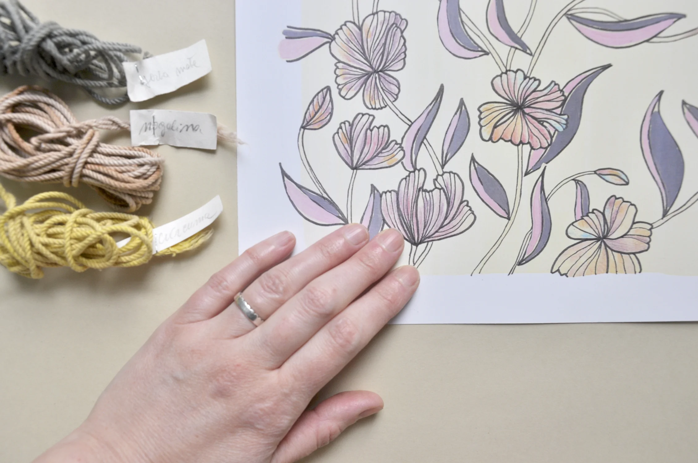 ceciliaborghi_puentestudio_magnolia3.jpg