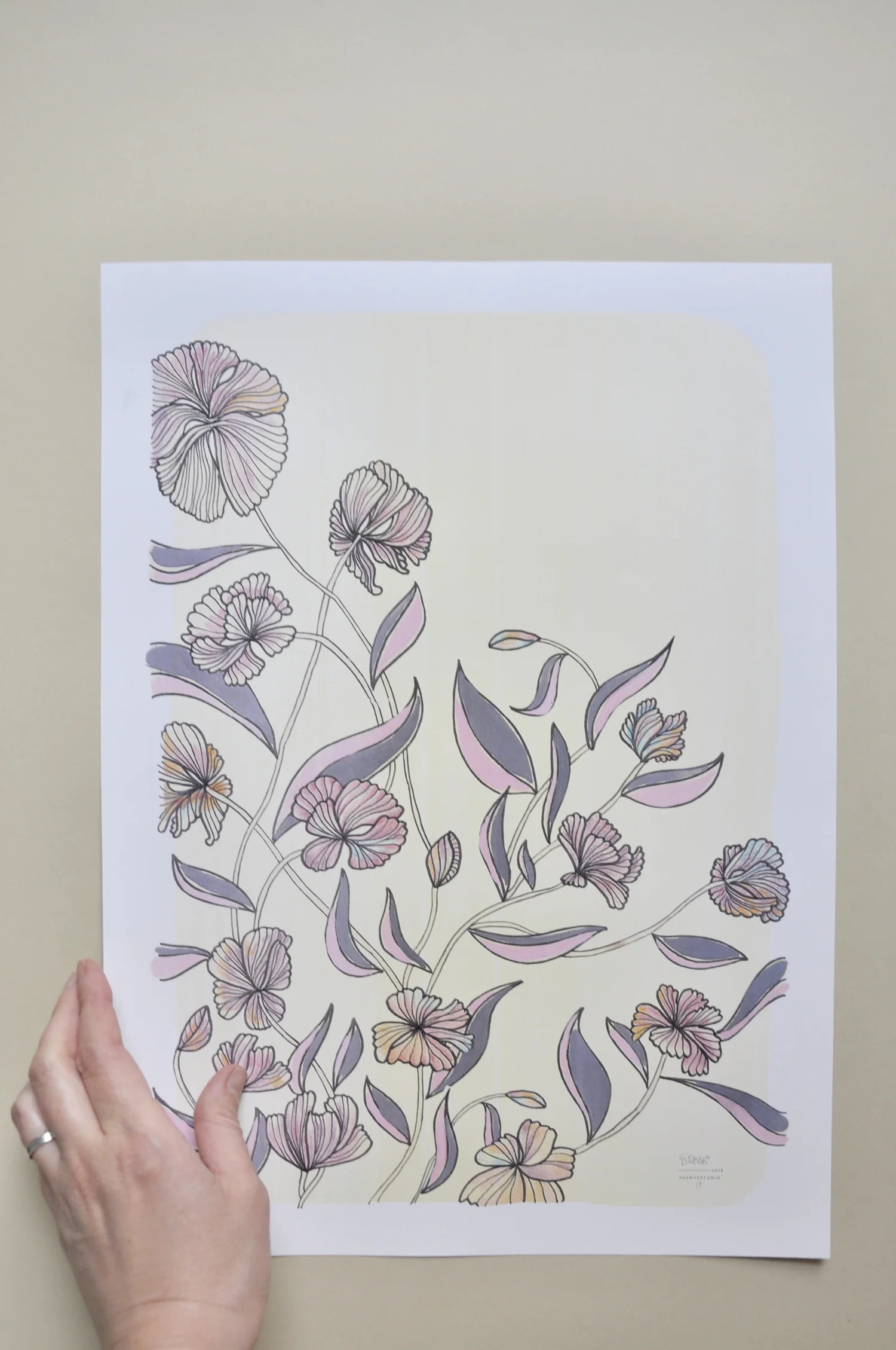 ceciliaborghi_puentestudio_magnolia2.jpg
